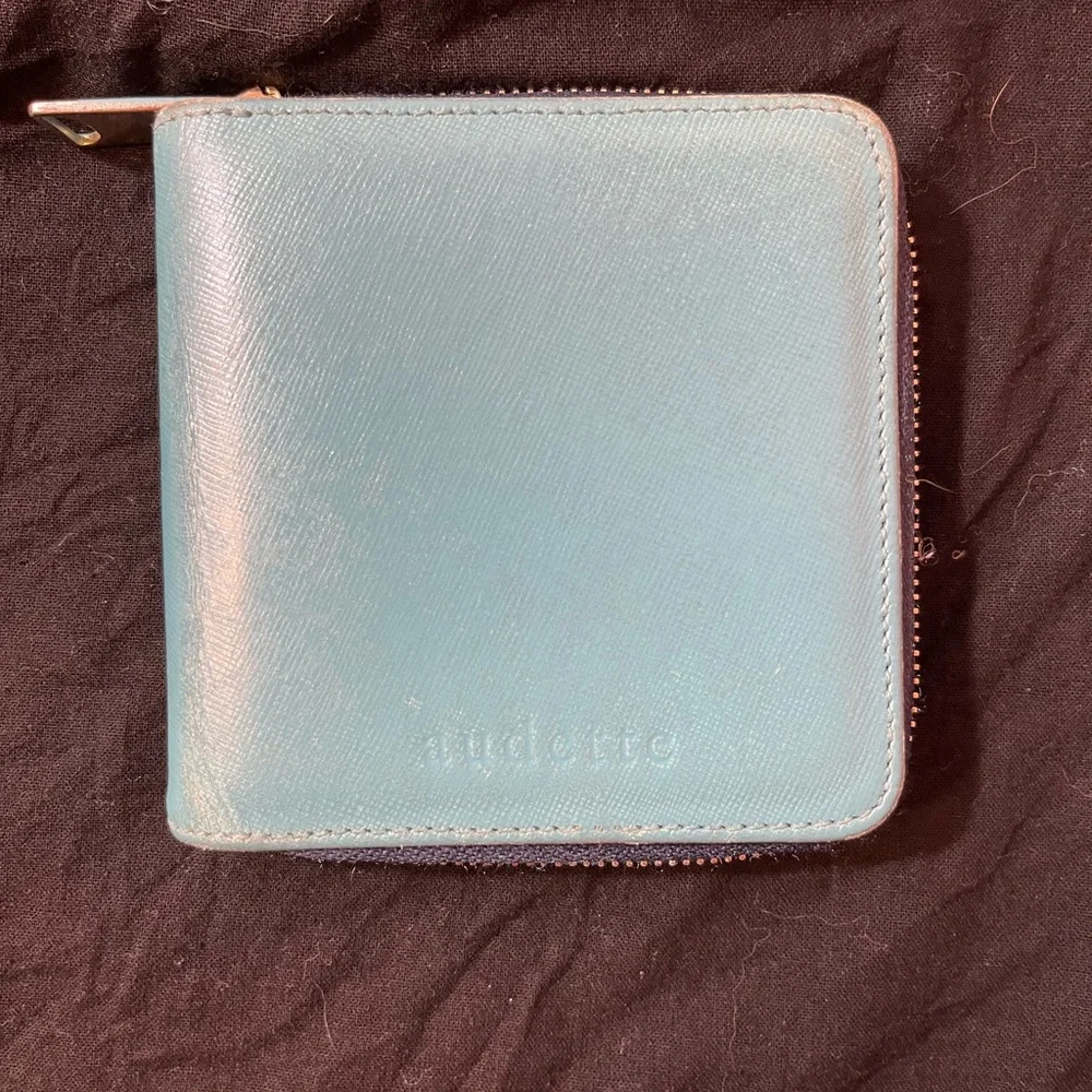 Audette Mint Leather Wallet
